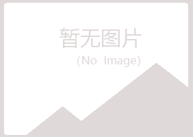 兰山区山柳机械有限公司